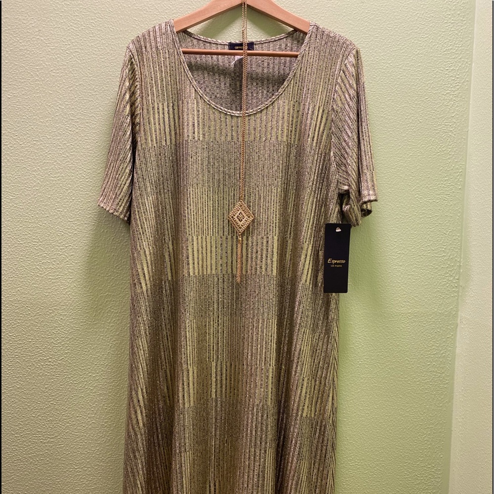 Metallic dress with necklace included